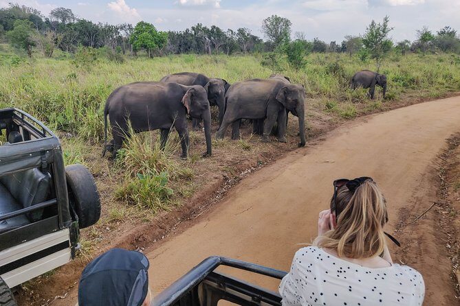 Hurulu Eco Park Private Safari from Sigiriya - Exploring the Itinerary in Detail
