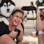Huskitory Connecting People and Dogs - An In-Depth Look at the Huskitory Experience