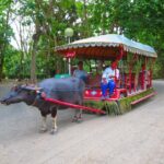Immerse in Culture: Villa Escudero Coconut Plantation Experience - Exploring More of Villa Escudero