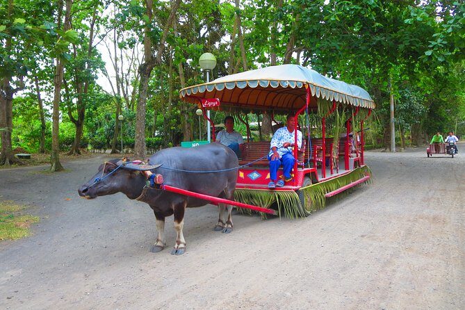 Immerse in Culture: Villa Escudero Coconut Plantation Experience - Exploring More of Villa Escudero