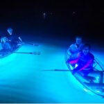 Inclusive Glass Boat Rental Peanut Island Snorkel Gear & Snacks - An In-Depth Look at the Peanut Island Adventure