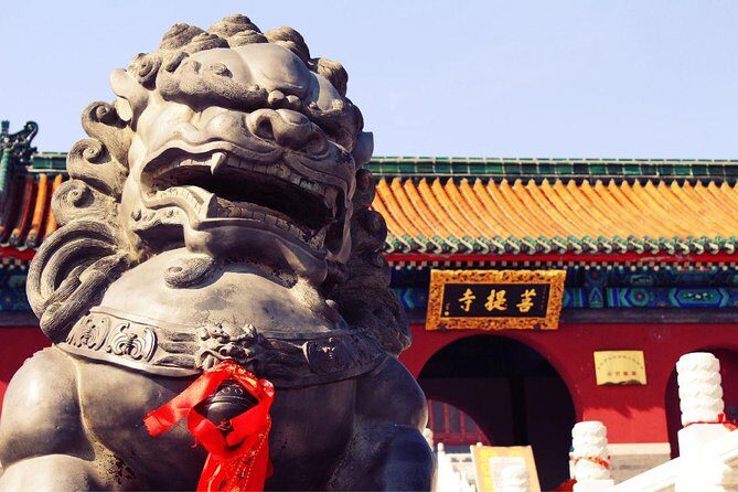 Independent Tour to Shaolin Temple and Longmen Grottoes from Zhengzhou - What Makes This Tour Stand Out