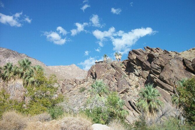 Indian Canyons Hiking Tour by Jeep from Palm Desert - The Sum Up: Who Will Love This Tour?