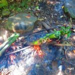 indigenous Forest experience Manila - The Cultural Demonstration and Traditional Lunch