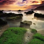 Indonesia Escape (Yogyakarta) - Authentic Insights from Reviewers