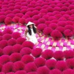 Instagram Incense Quang Phu Cau Village Tour with Train Street - Authenticity & Experiences Highlighted by Travelers