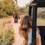 Instagramble Sri Lanka - 7 Days - Why This Tour Offers Real Value