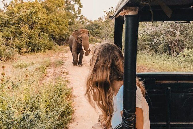 Instagramble Sri Lanka - 7 Days - Why This Tour Offers Real Value