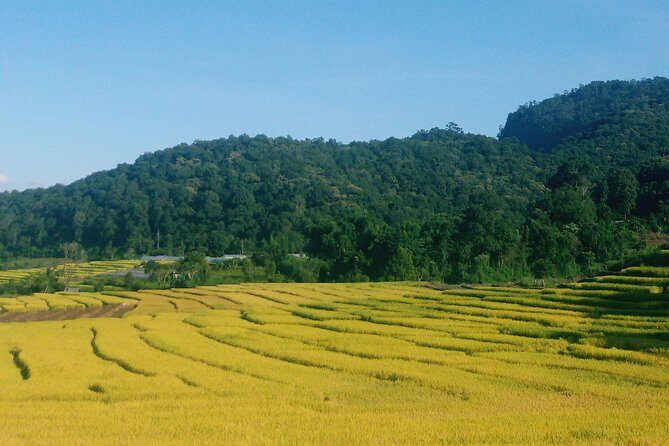 Inthanon Day Trip from Chiang Mai with Lunch - Group or Private - Who Should Consider This Tour?