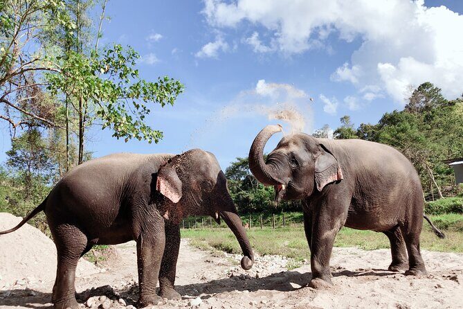 Inthanon Heaven Trail(Living Green Elephant Sanctuary) - What’s Included and What’s Not