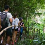 Inthanon National Park Tour with Soft Hike at Pha Dok Siew Trail - The Sum Up