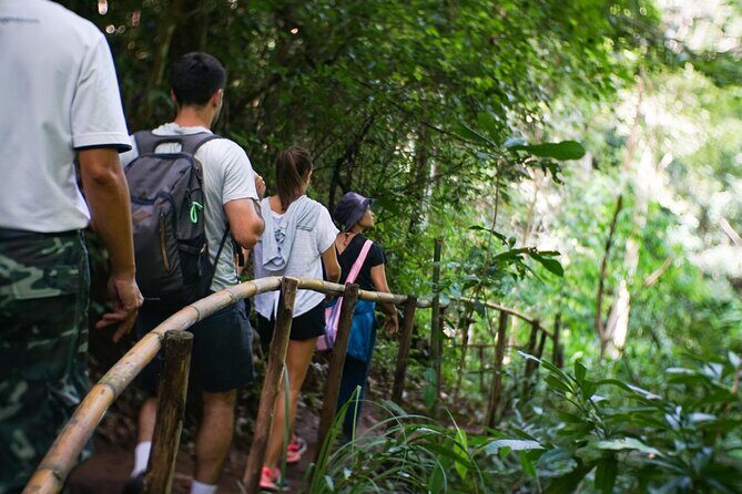 Inthanon National Park Tour with Soft Hike at Pha Dok Siew Trail - The Sum Up