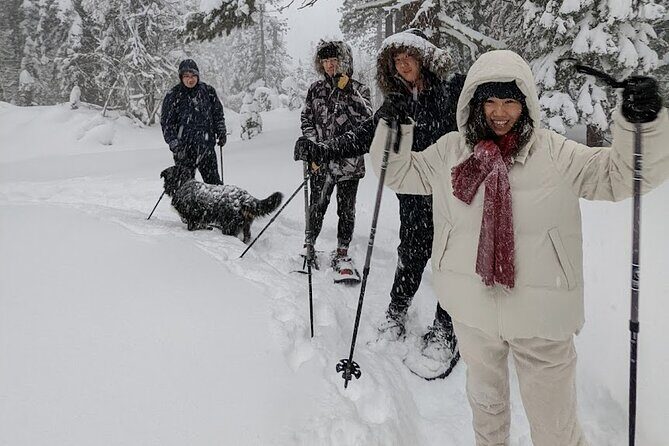 Introductory Guided Snowshoe Tour - Exploring the Details of the Snowshoe Adventure