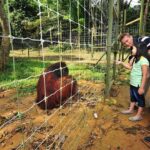 Ipoh Private Day Trip from Kuala Lumpur with Lunch - Who Would Love This Tour?