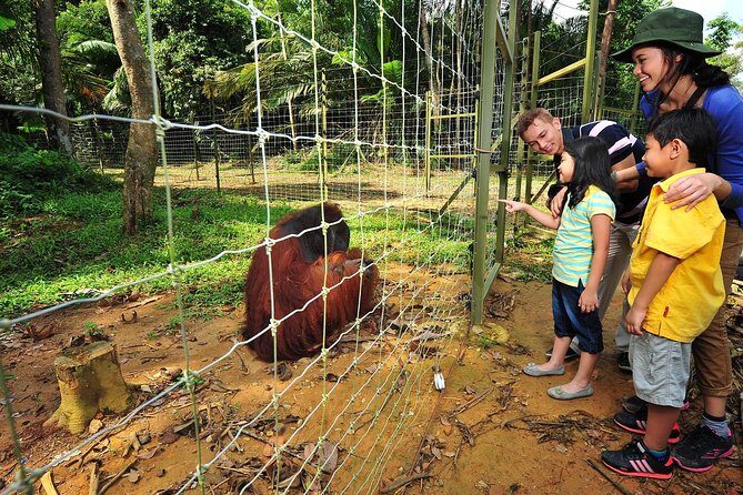 Ipoh Private Day Trip from Kuala Lumpur with Lunch - Who Would Love This Tour?
