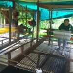 Island Community Life in Phnom Penh - What Travelers Say: Authentic Insights