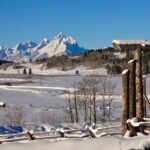 Jackson Hole Full-Day Dog Sledding and Snowmobiling Combo Trip - Who Is This Tour Best For?