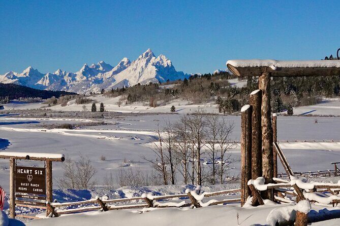 Jackson Hole Full-Day Dog Sledding and Snowmobiling Combo Trip - Who Is This Tour Best For?