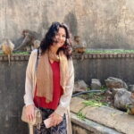 Jaipur City Tour and Nahargarh Sunset by Tuk-Tuk - What We Loved & What to Consider