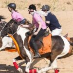Jaipur Horse Riding Adventure - The Sum Up