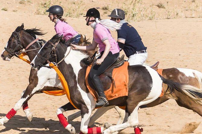 Jaipur Horse Riding Adventure - The Sum Up