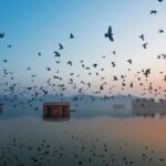 Jaipur Sunrise Tour with Morning Flower Market Walk - Authentic Insights from Reviewers
