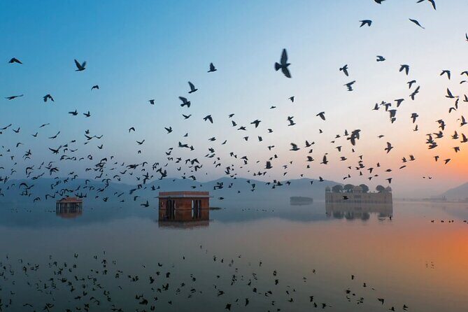 Jaipur Sunrise Tour with Morning Flower Market Walk - Authentic Insights from Reviewers