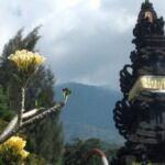 Jakarta Bogor Botanical Garden, Waterfall and Rice terrace, Lunch - Transportation & Guides: Making It Comfortable and Informative