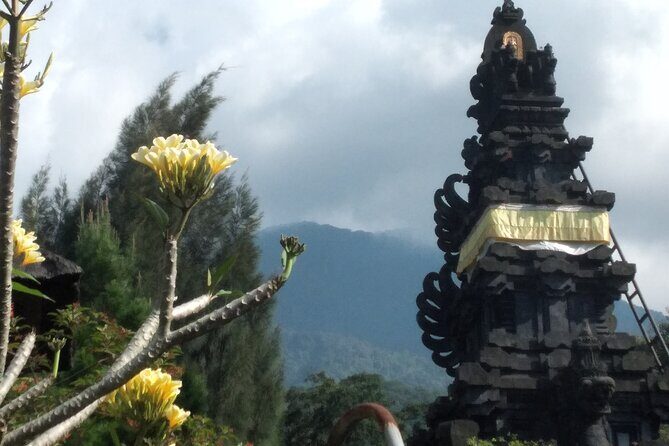 Jakarta Bogor Botanical Garden, Waterfall and Rice terrace, Lunch - Transportation & Guides: Making It Comfortable and Informative