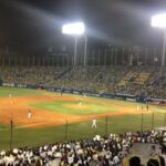 Japan Baseball Tour - Catch a Live Game in Tokyo with a Local - Who Should Book This Tour?