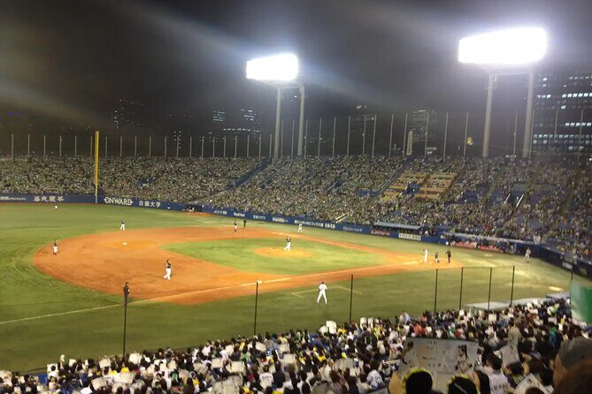 Japan Baseball Tour - Catch a Live Game in Tokyo with a Local - Who Should Book This Tour?