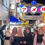 Japanese Food Experience Night Tour in Ueno - An In-Depth Look at the Tour Itinerary and Experience