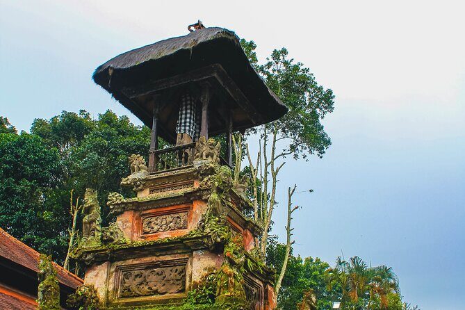 Jatiluwih Batukaru Mountain Nature's Best Tour - Authentic Experiences and Unique Insights