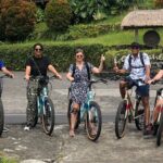 Jatiluwih E-bikes Tour Cycling Group - Practicalities: What You Need to Know