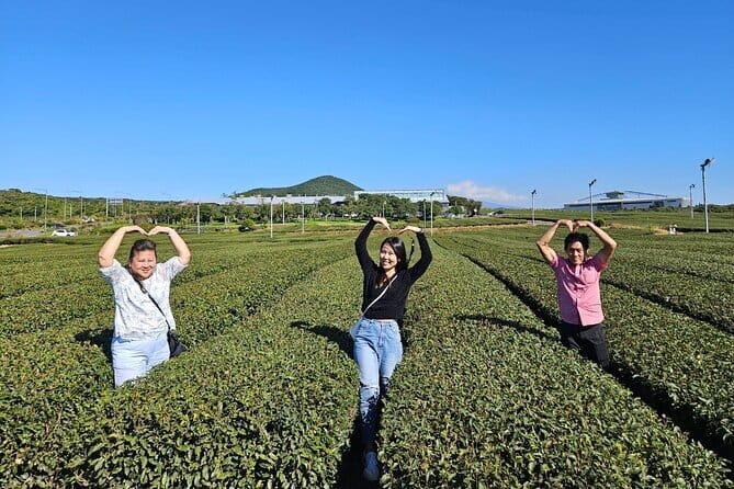 Jeju Customize Private VAN Tour of East or West or South (~8pax) - Who Should Consider This Tour?