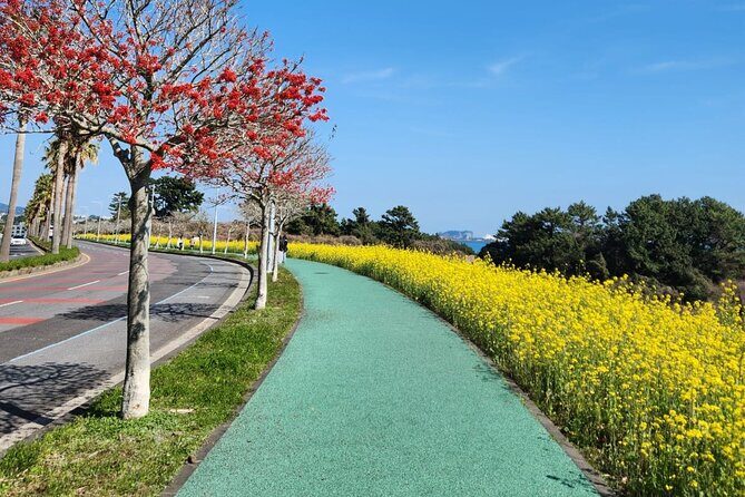 Jeju English Private Taxi Tour(1day, 2days, 3days & 1 to 8pax) - Transportation and Practical Details