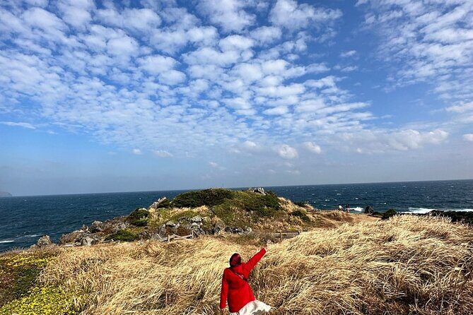 Jeju Island English Private & Flexible Tour any number anywhere - Who Will Love This Tour?
