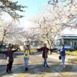 Jeju island Private UNESCO Tour - For Cruise customer - Authentic Experiences and Insider Tips