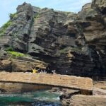 Jeju Private Tour Package-South of Jeju(Mt.Hallasan & Waterfalls) - Who Is This Tour Best For?