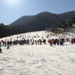 Jisan Ski One Day Tour - The Sum Up