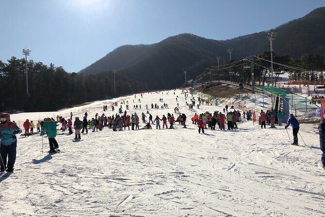 Jisan Ski One Day Tour - The Sum Up
