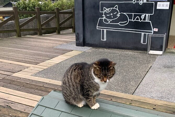 Jiufen, Shifen and Houtong Cat Village Private Tour - Final Thoughts