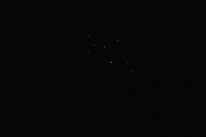 Joiners Firefly Watching Tour - The Firefly Experience: What Makes It Special