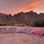 Joshua Tree: Soundbath Under The Stars - What Makes This Experience Stand Out?