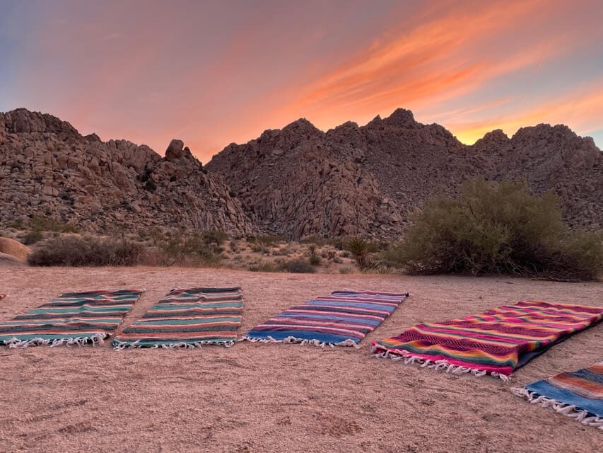 Joshua Tree: Soundbath Under The Stars - What Makes This Experience Stand Out?