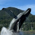 Juneau Highlights and Mendenhall Glacier Tour - What Makes This Tour Stand Out?