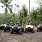 Jungle Buggy Adventure and Ubud Tour - Who Will Love This Tour?