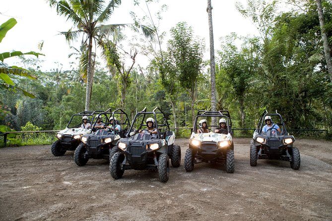 Jungle Buggy Adventure and Ubud Tour - Who Will Love This Tour?