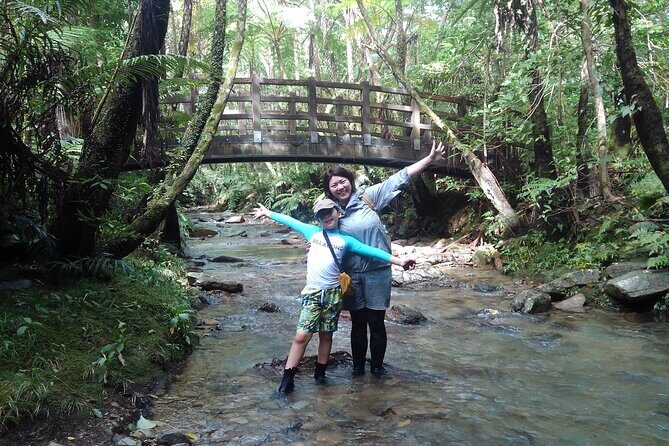Jungle River Trek: private tour in Yanbaru, north Okinawa - Final Thoughts: Is This Tour Right for You?
