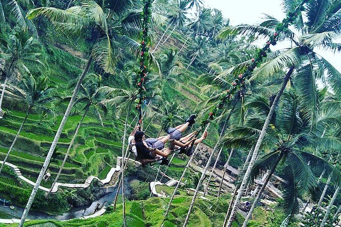 Jungle Swing & White Water Rafting Experience - Why This Tour Works for Different Travelers